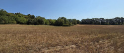 vente Terrain agricole Vallerargues