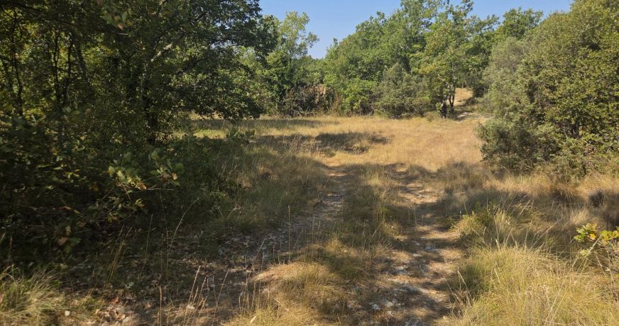vente Terrain agricole Vallerargues