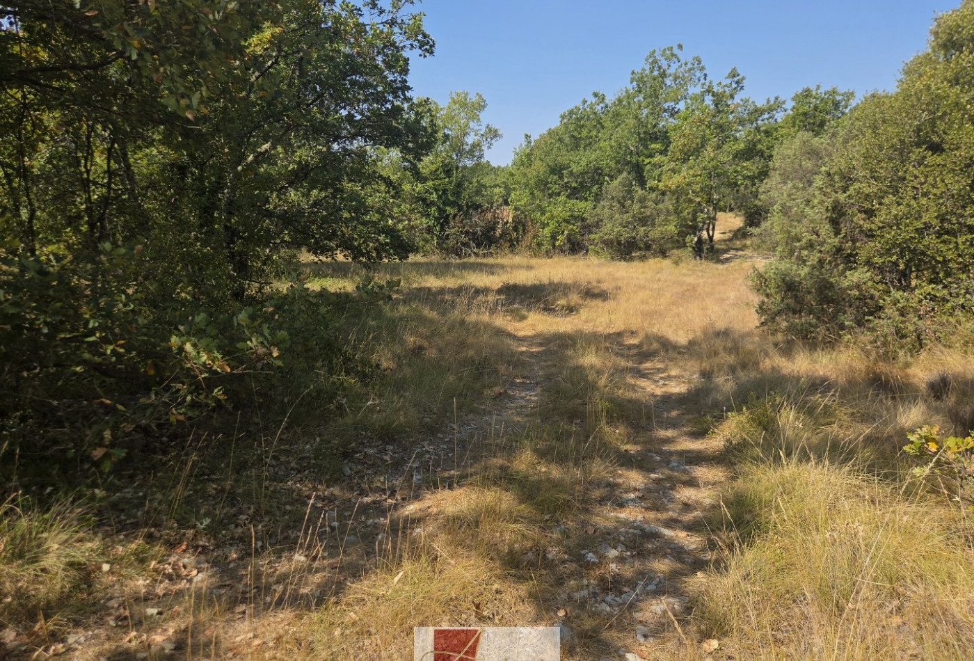 vente Terrain agricole Vallerargues - Photo 8