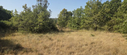 vente Terrain agricole Vallerargues
