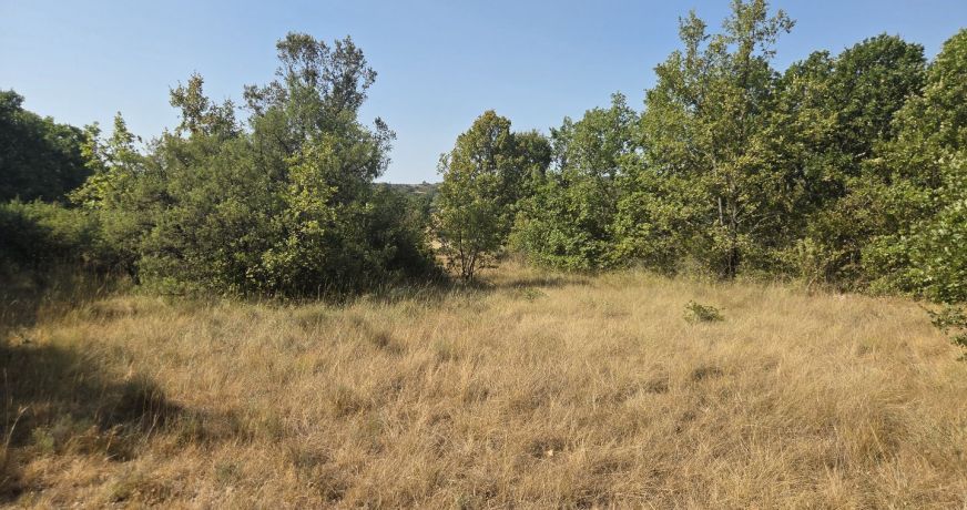 vente Terrain agricole Vallerargues