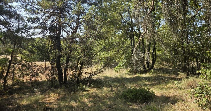vente Terrain agricole Vallerargues