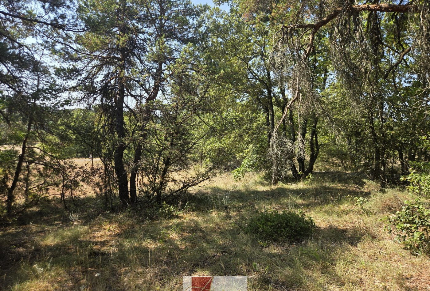 vente Terrain agricole Vallerargues - Photo 10