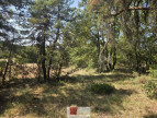 sale Terrain agricole Vallerargues