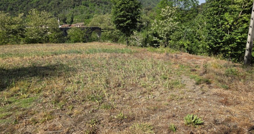 vente Terrain agricole Pont D'herault