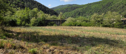 vente Terrain agricole Pont D'herault