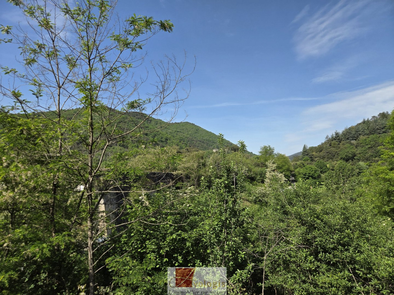 vente Terrain agricole Pont D'herault - Photo 8