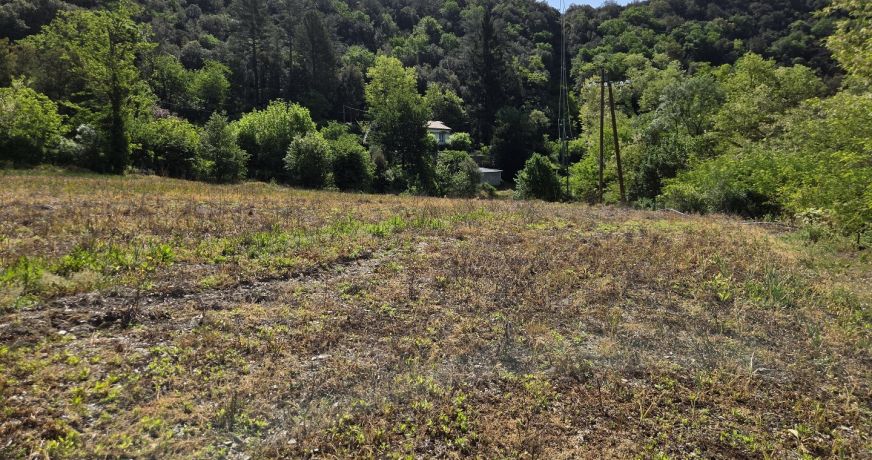 vente Terrain agricole Pont D'herault