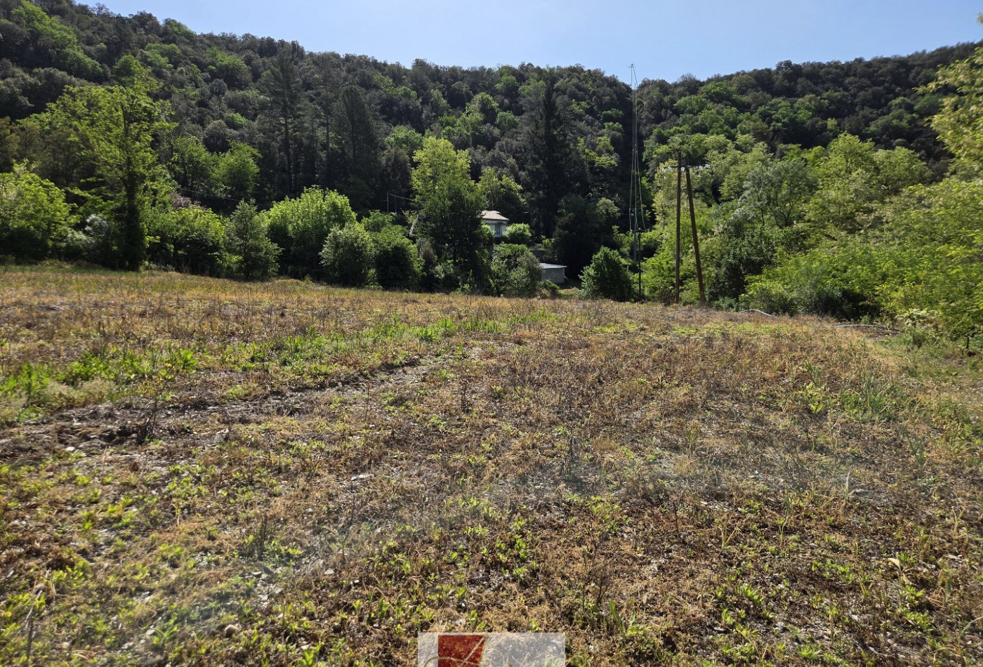vente Terrain agricole Pont D'herault - Photo 4