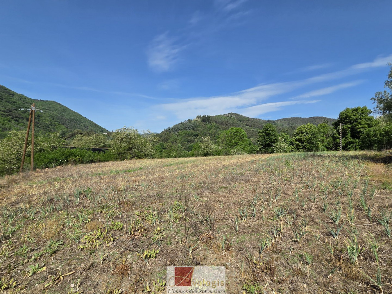 vente Terrain agricole Pont D'herault - Photo 5