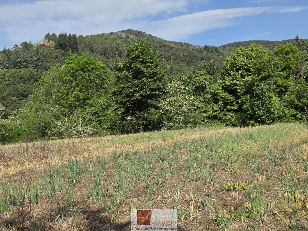 vente Terrain agricole Pont D'herault - Photo 6
