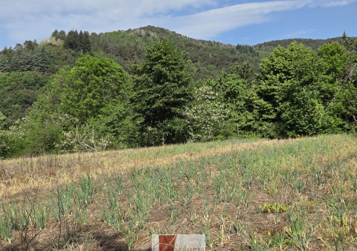 vente Terrain agricole Pont D'herault