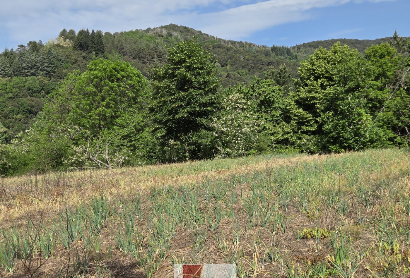 vente Terrain agricole Pont D'herault - Photo 6
