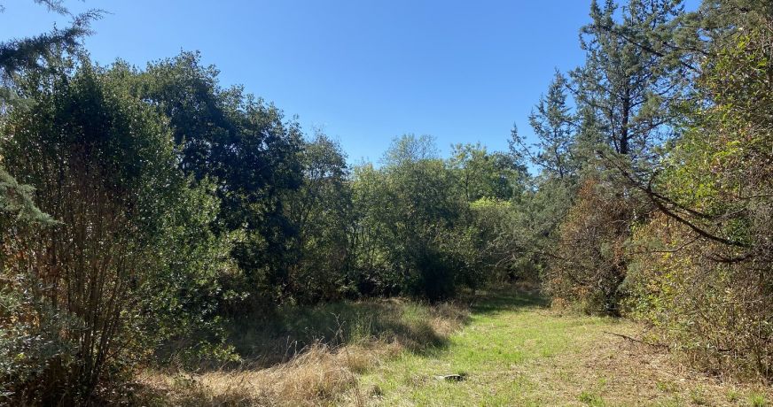 vente Terrain constructible Ganges