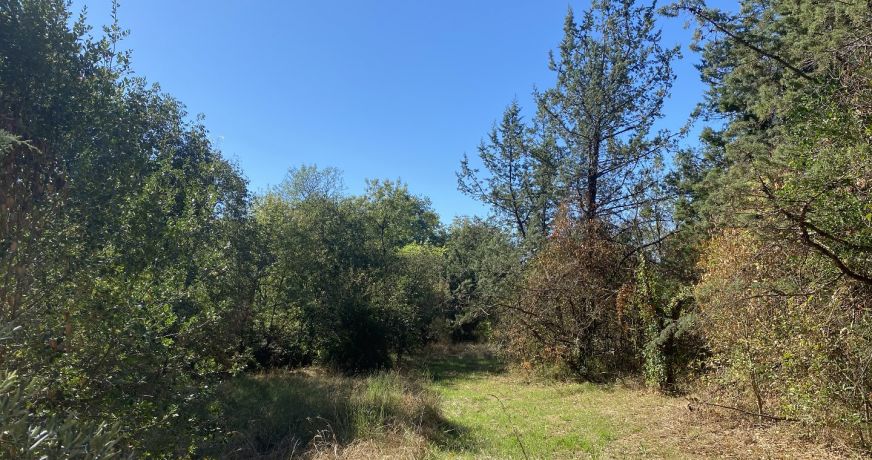 vente Terrain constructible Ganges