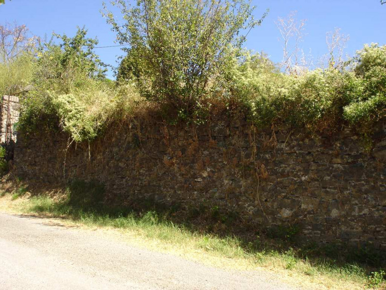 vente Terrain de loisir Aumessas - Photo 3