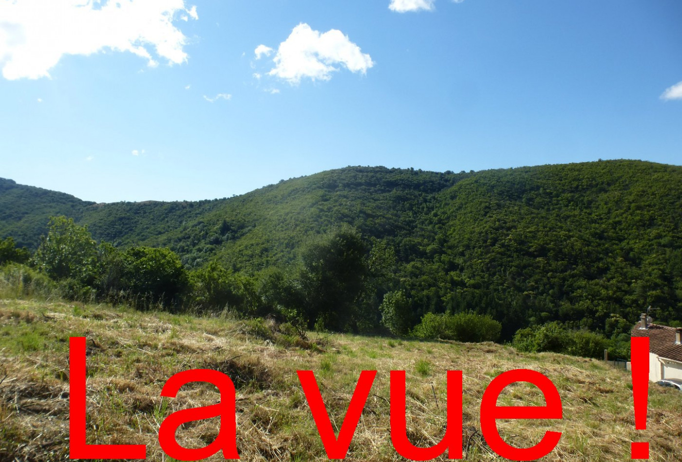 vente Terrain de loisir Aumessas - Photo 1