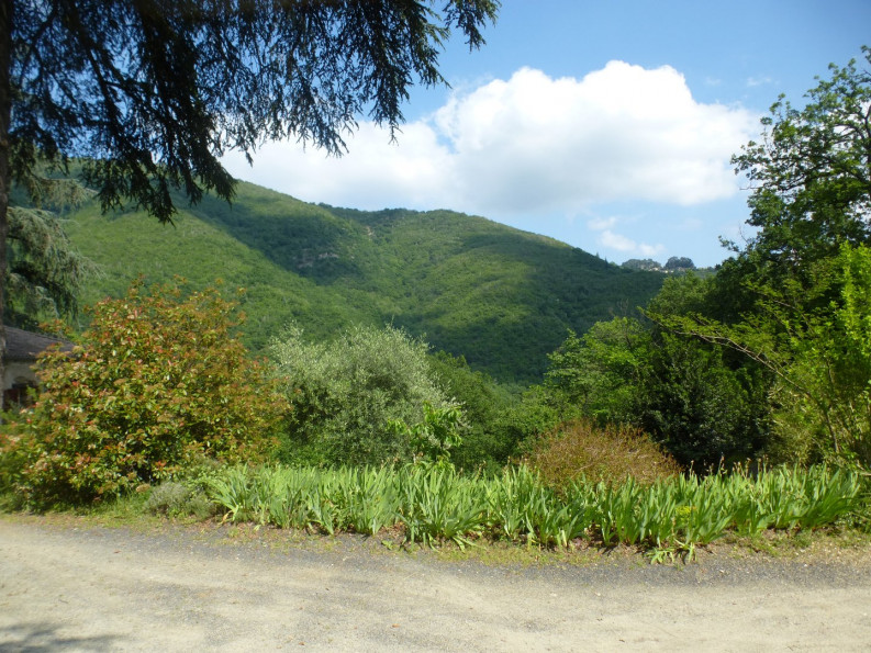 vente Propriété Le Vigan - Photo 4