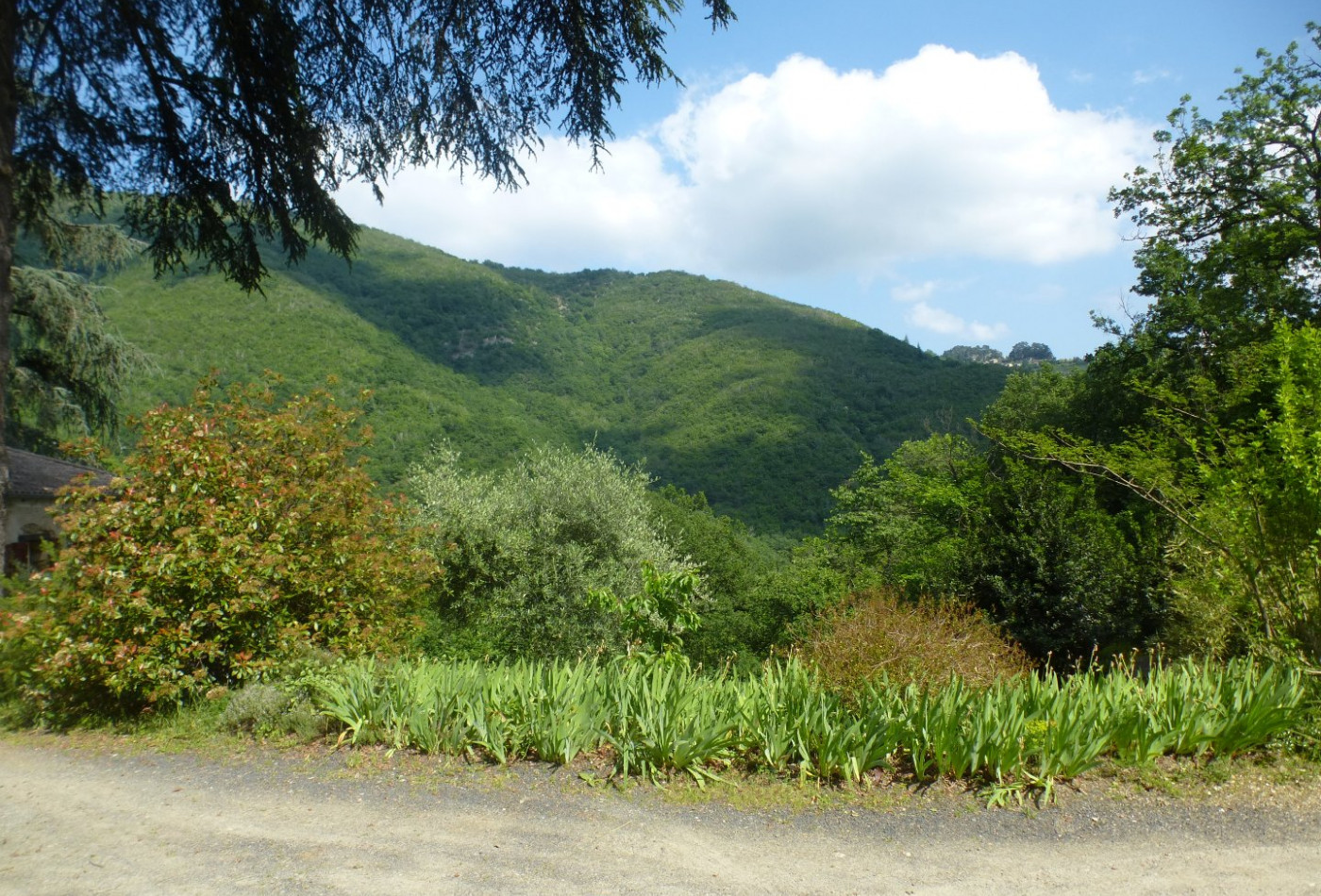 vente Propriété Le Vigan - Photo 4