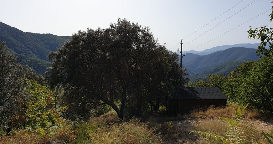 vente Terrain de loisir Saint Roman De Codieres