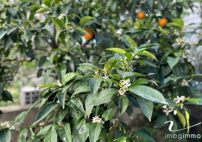 à vendre Villa Pignan