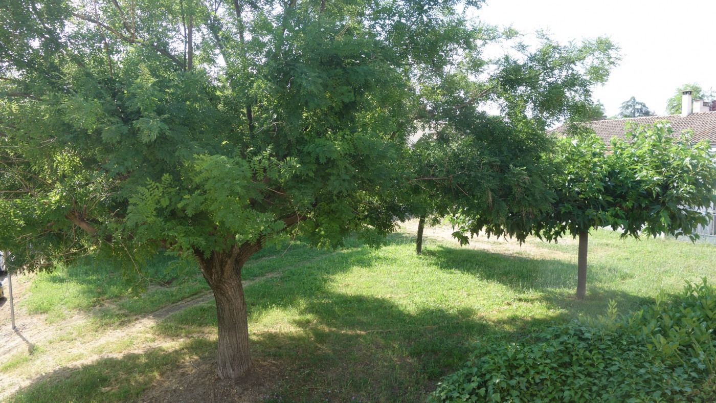 à vendre Maison Saint Jean De Vedas - Photo 4