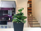 vente Maison Montpellier