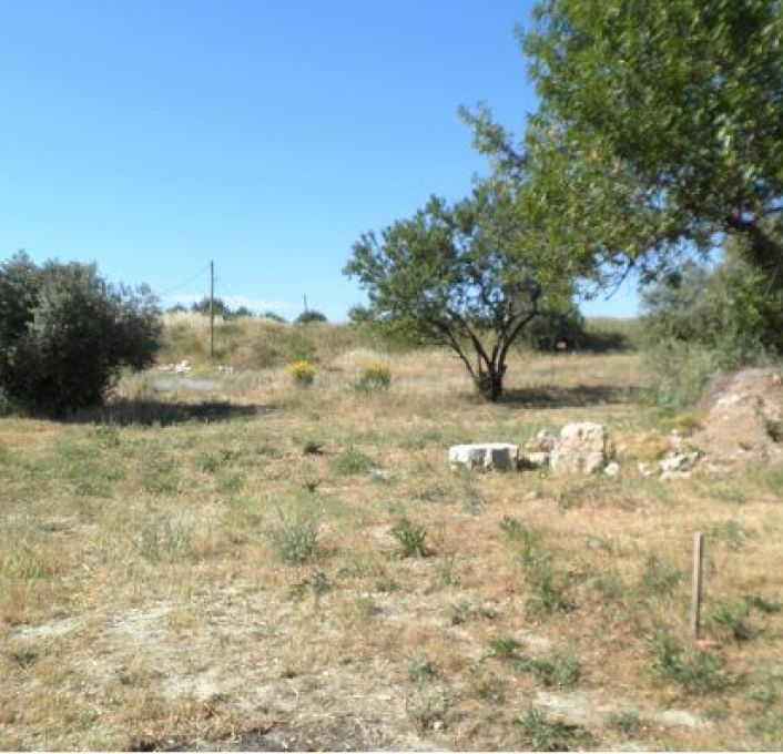 vente Terrain constructible Cournonterral