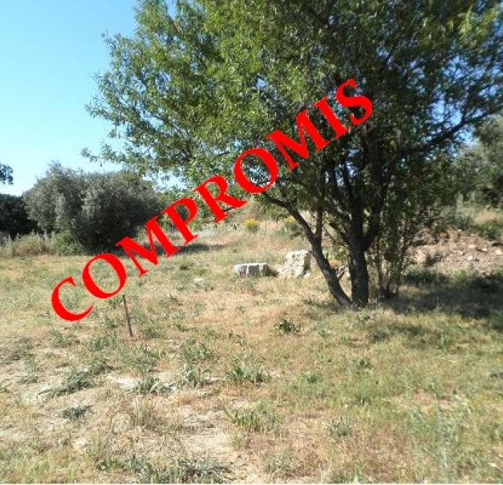 vente Terrain constructible Cournonterral