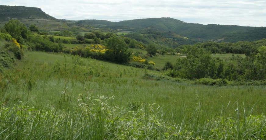 vente Terrain constructible Dio Et Valquieres