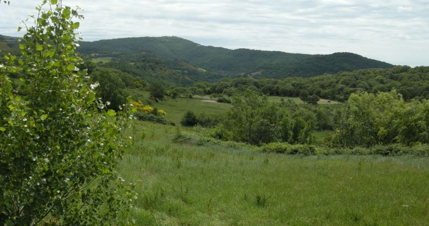 vente Terrain constructible Dio Et Valquieres