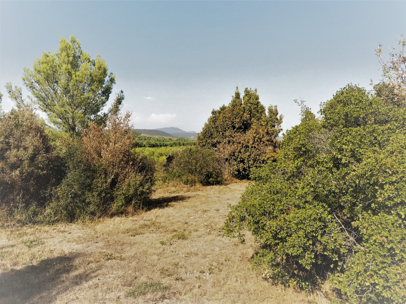 à vendre Maison de caractère Montarnaud - Photo 3