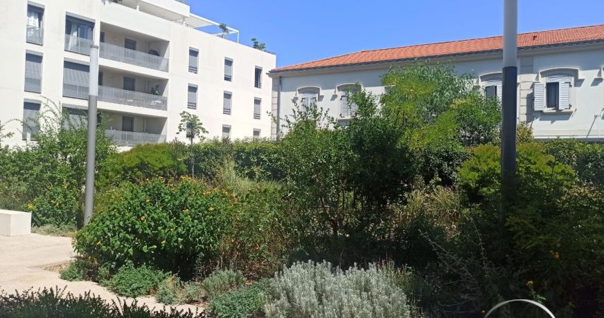 location Appartement Montpellier