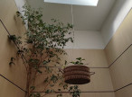 à vendre Maison de caractère Saussan