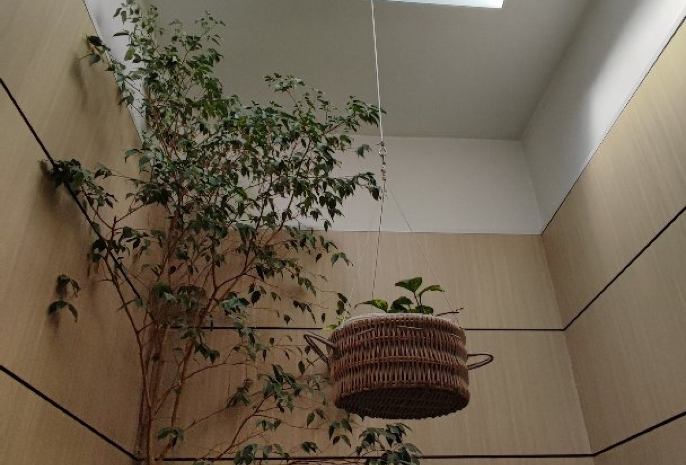 à vendre Maison de caractère Saussan - Photo 1