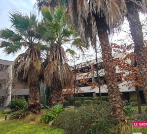 à vendre Montpellier