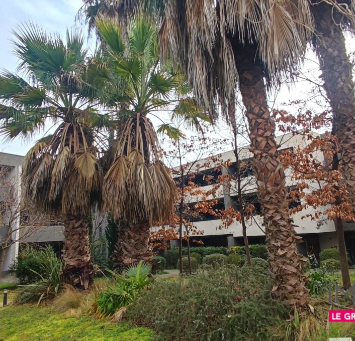 à vendre Appartement Montpellier