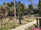 à vendre Appartement Montpellier