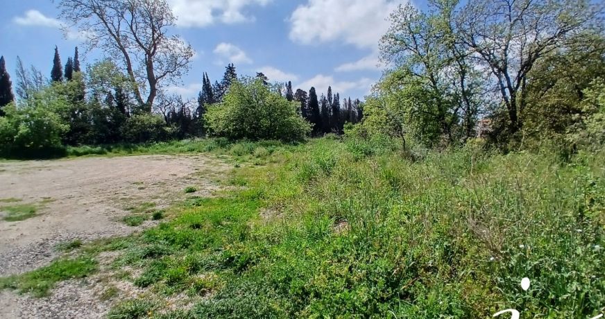 vente Terrain constructible Saint Feliu D'avall