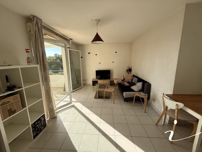 letting Appartement Montpellier