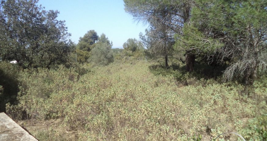 vente Terrain non constructible Fabregues