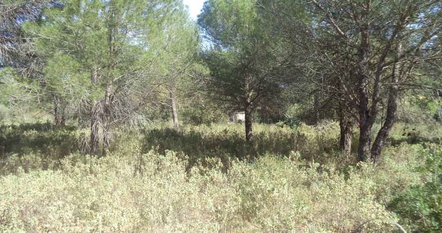 vente Terrain non constructible Fabregues