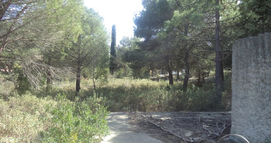 vente Terrain non constructible Fabregues