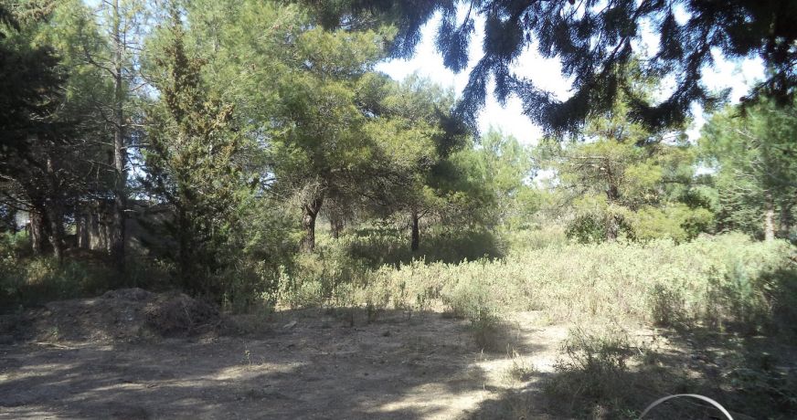 vente Terrain non constructible Fabregues