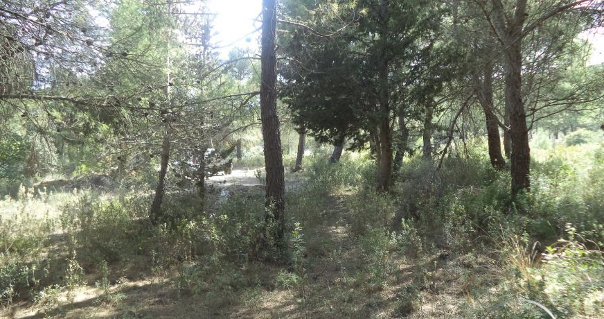 vente Terrain non constructible Fabregues