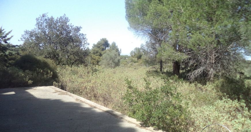 vente Terrain non constructible Fabregues
