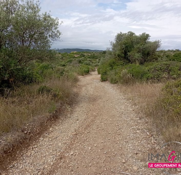 à vendre Terrain non constructible Cournonterral