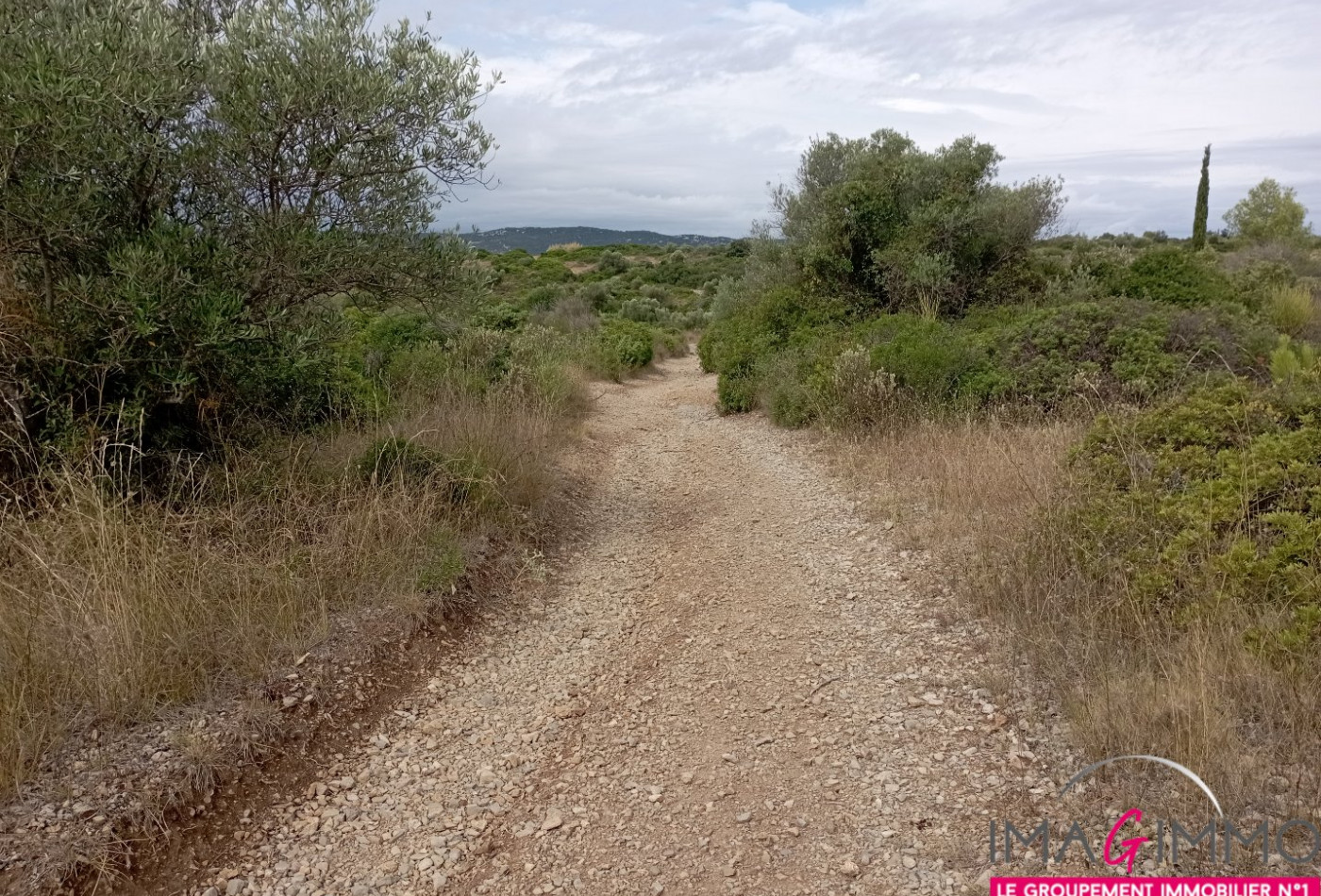 à vendre Terrain non constructible Cournonterral - Photo 1