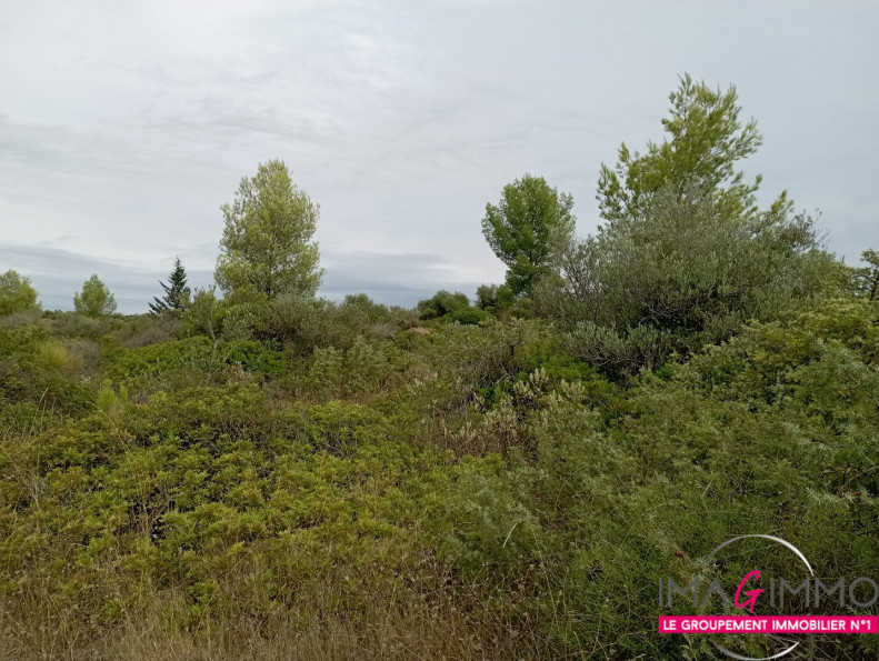 à vendre Terrain non constructible Cournonterral - Photo 2