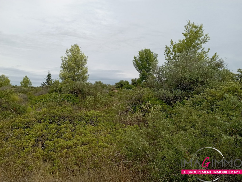 vente Terrain non constructible Cournonterral - Photo 2